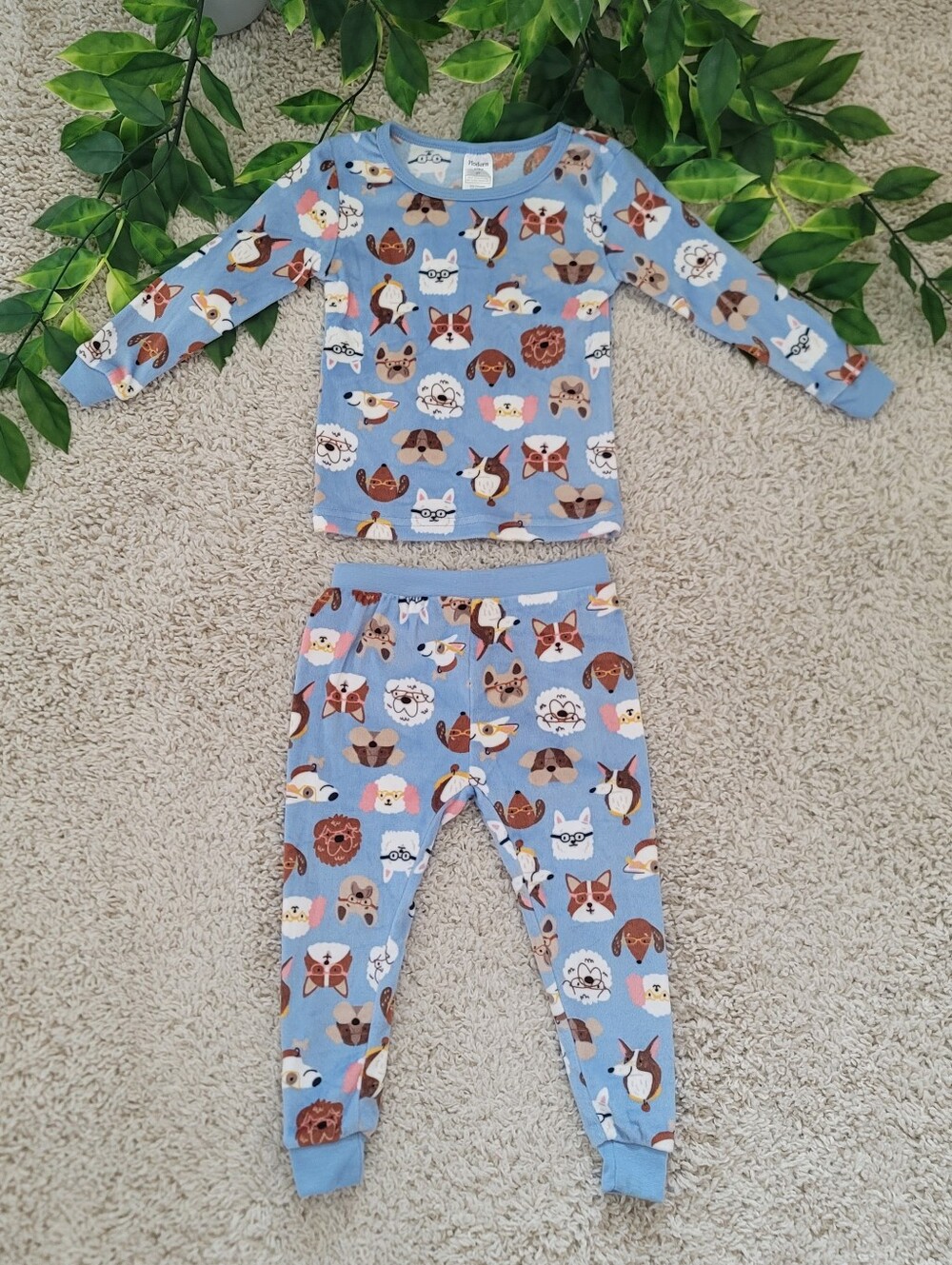 Toddler Boy Puppy Pajamas (2T)